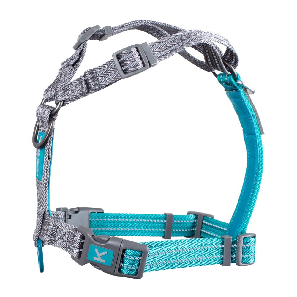 Kumfi hotsell dog harness