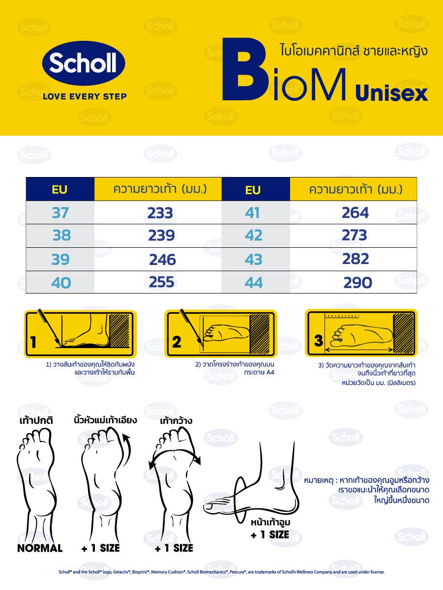 Scholl discount 2025