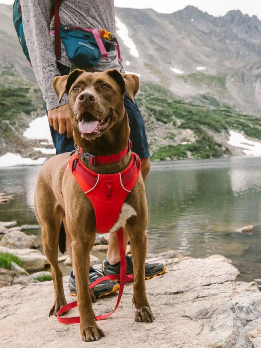 RUFFWEAR Aurora Teal Front range harness for dog size 2XS