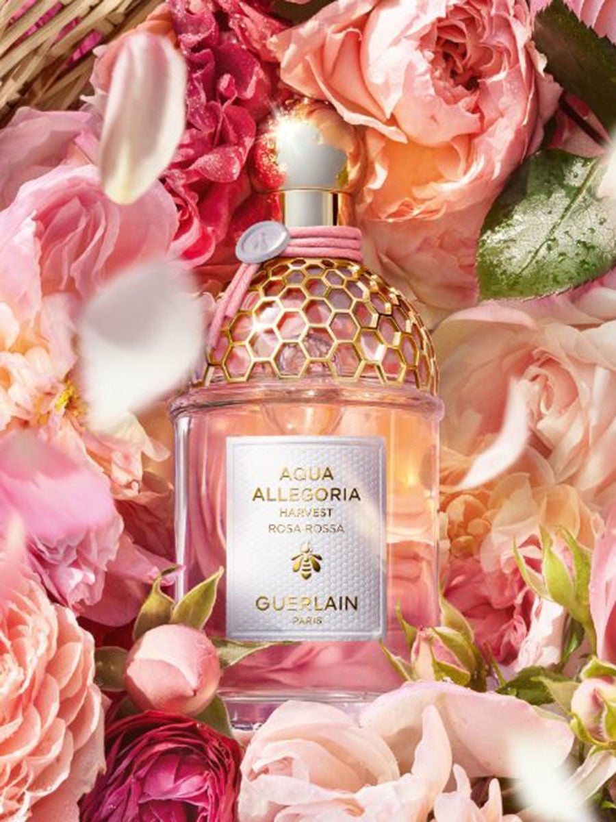 AQUA ALLEGORIA HARVEST ROSA ROSSA-