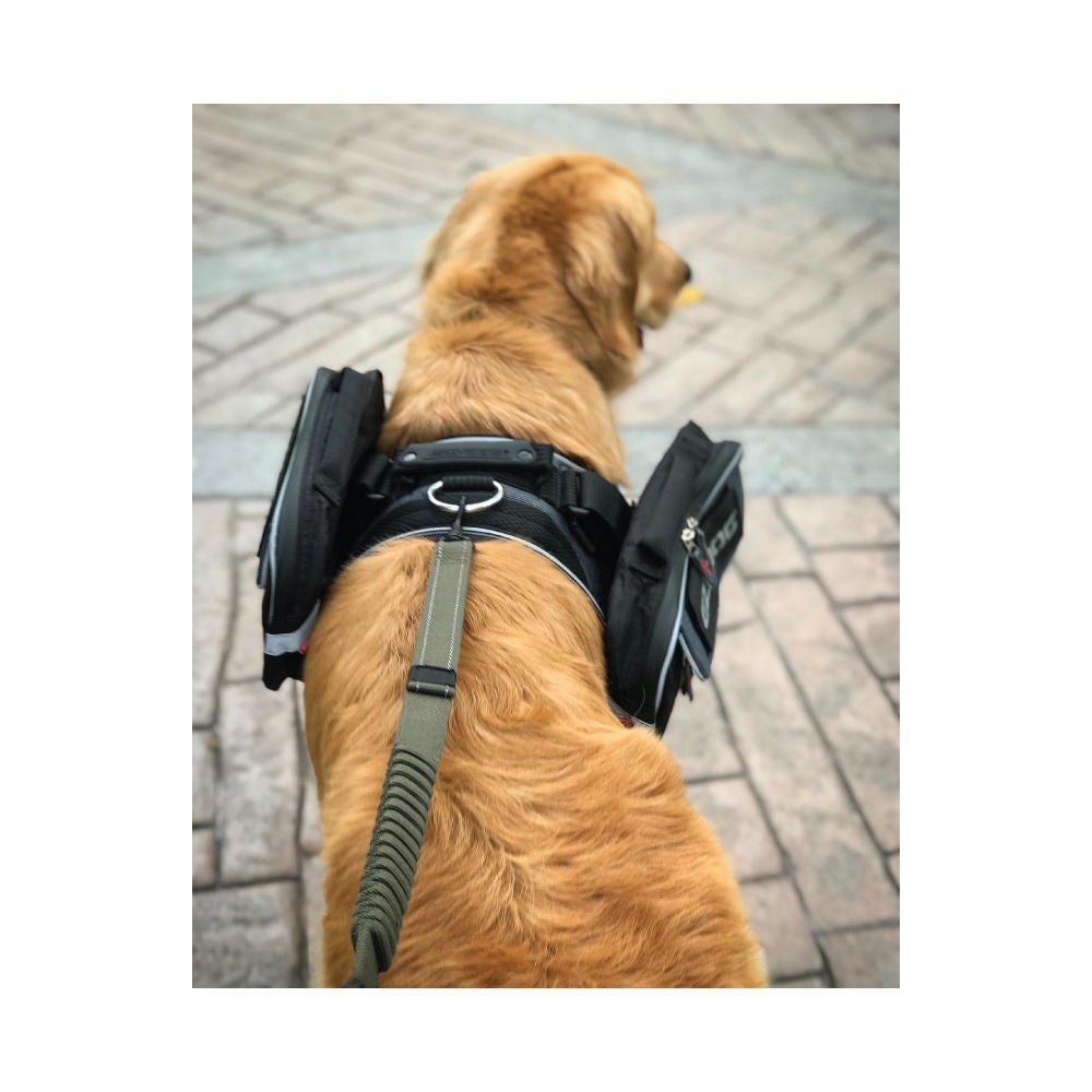 Ezydog saddlebags shop