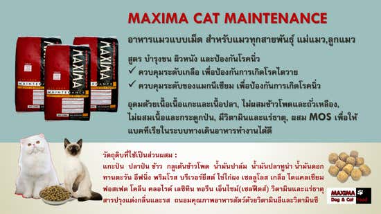 https://www.central.co.th/adobe/dynamicmedia/deliver/dm-aid--c854c2e9-e6ed-403f-9634-377bcccade0c/maxima-catfoodmaintenance15kg-mkp0337405-4.jpg?preferwebp=true&quality=60&width=550