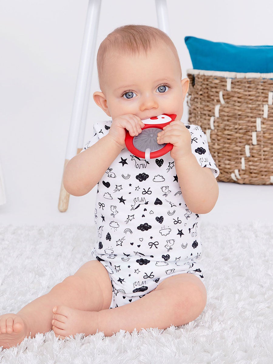 Skip hop hot sale stay cool teether