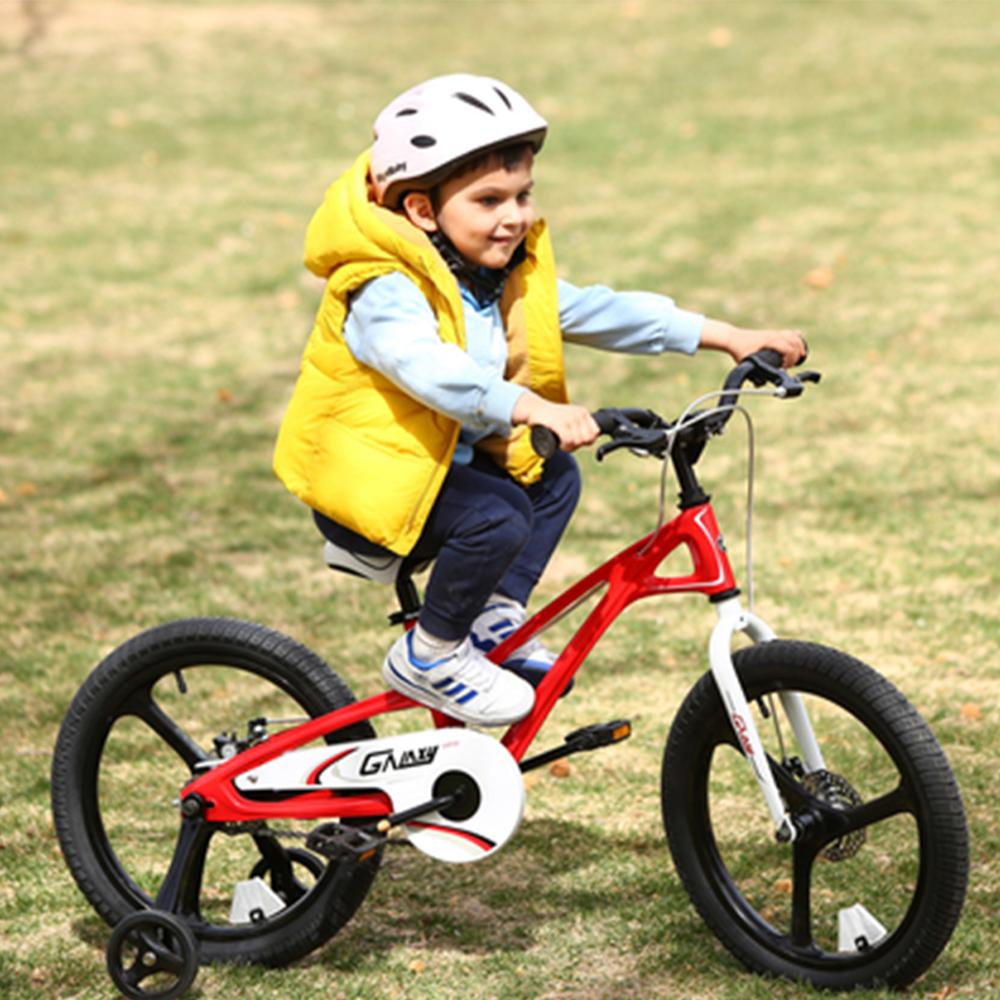 Royalbaby kids outlet bike