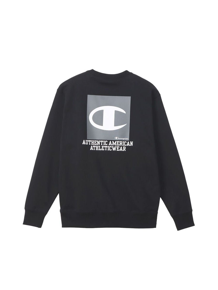 Champion sweater grey shop crew neck print