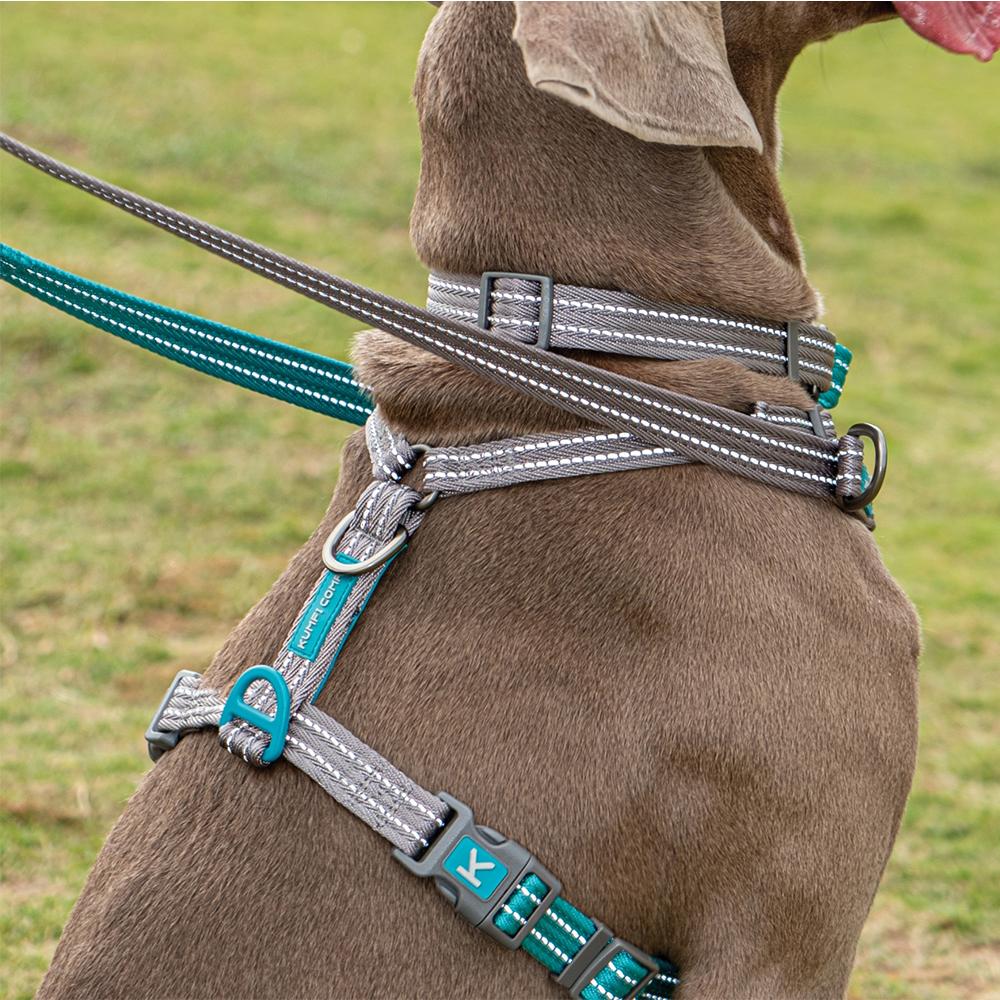 Kumfi dog outlet lead