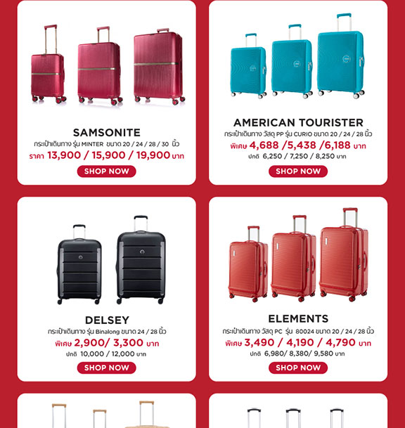 travel fair luggage