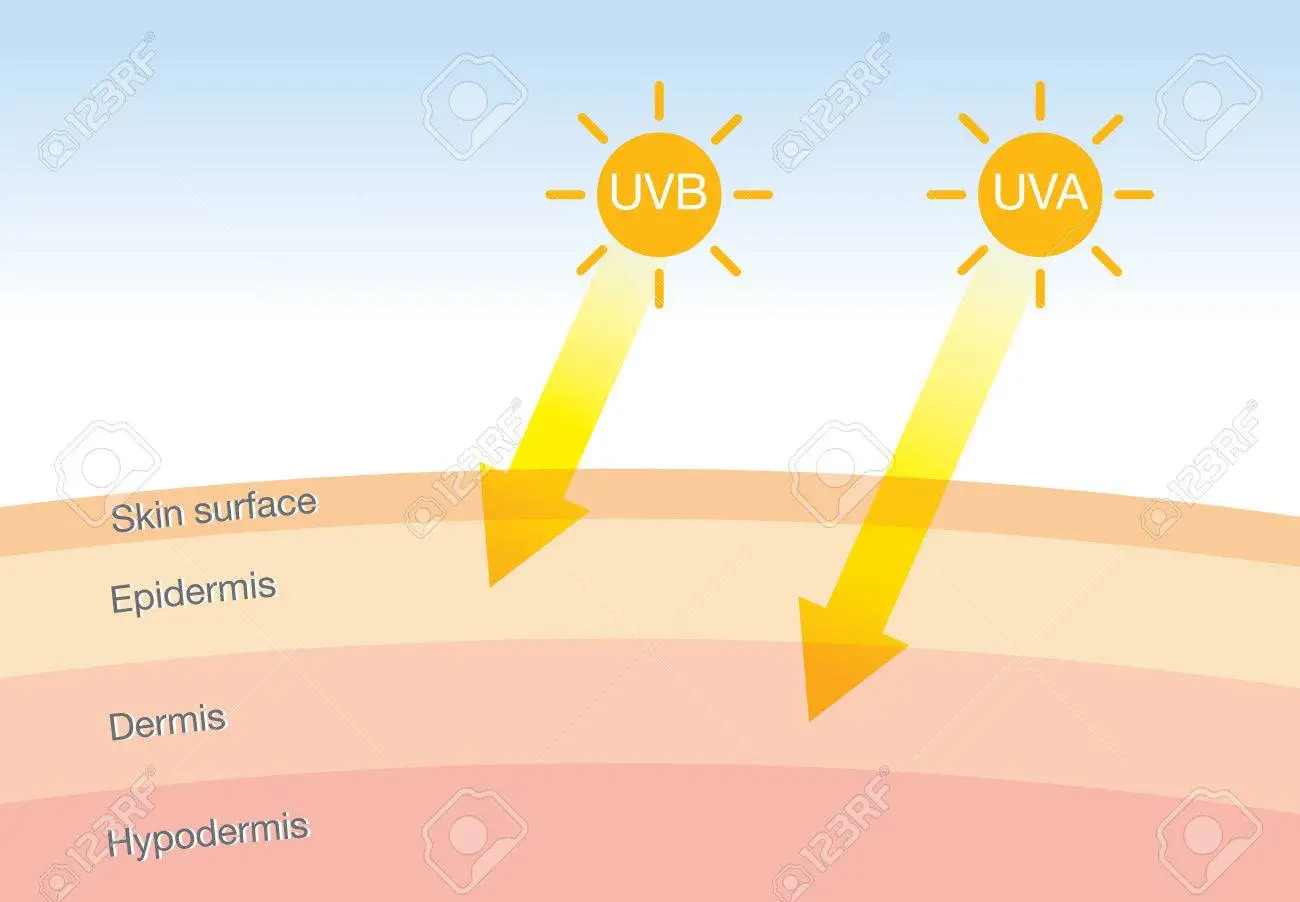 UVA | UVB | UVC คืออะไร พร้อมแนะนำ 5 ครีมกันแดดที่ต้องมี