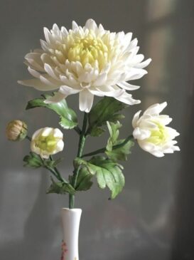 4 Chrysanthemum