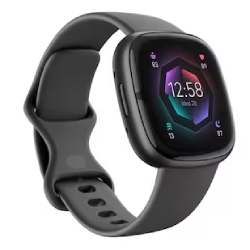 FITBIT GREY SMARTWATCH