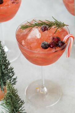 Mistletoe Martini Cranberry Christmas Cocktail1