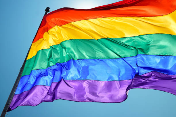 lgbtq flag