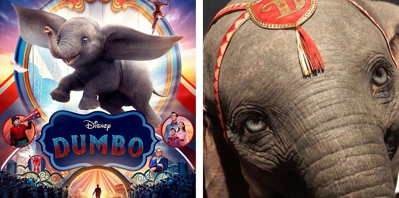 6 - Dumbo