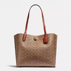 Coach bag 3