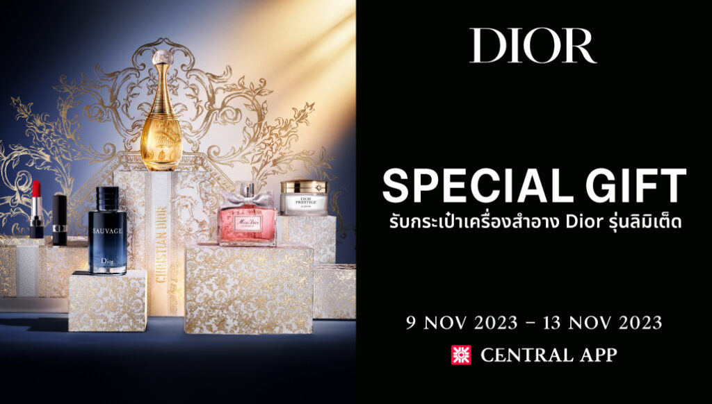 DIOR 11.11 PROMOTION