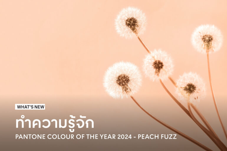 Pantone Color Of The Year 2024 Peach Fuzz   Fuzz Peach Pantone Of The Year 2024 770x513 