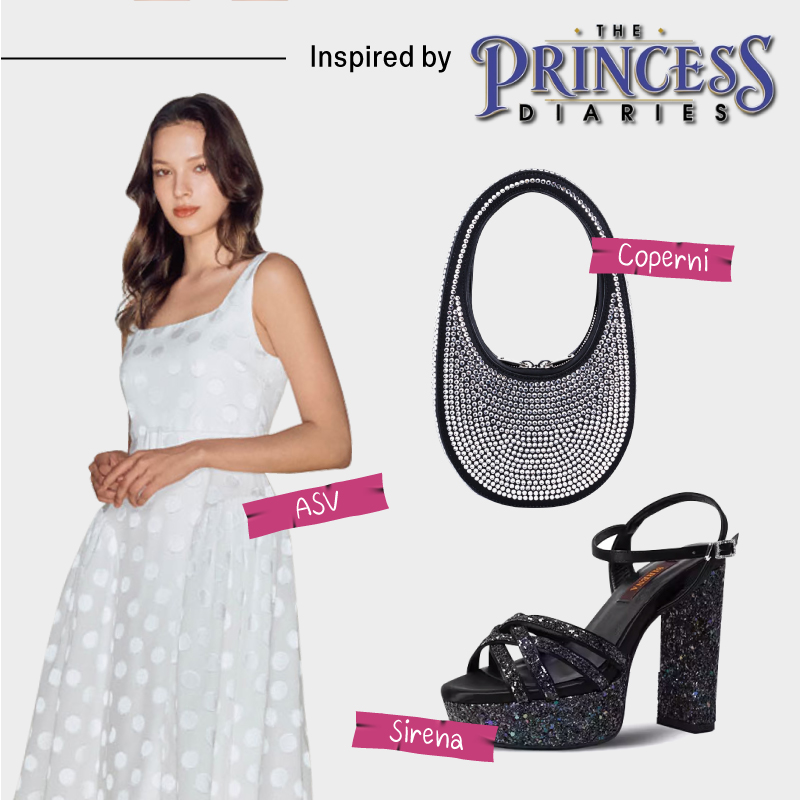 The Princess Diary Costume