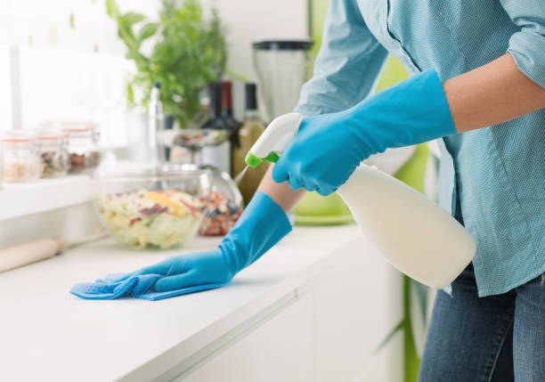 clean kitchen to protect gecko