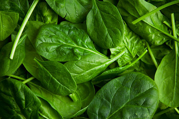 high protien 11 - spinach