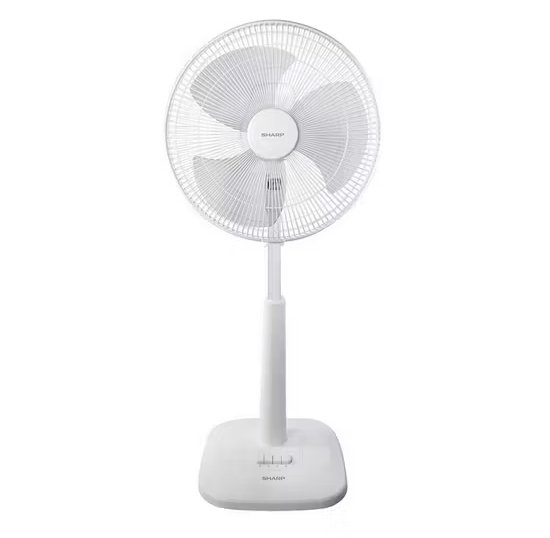 1000 THB Budget Raffle Gift 17 - Sharp Slide Fan